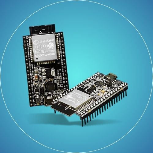 ESP Development Boards