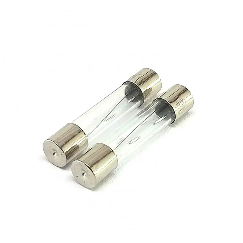 630mA  250V Glass Fuse - 5mmx20mm - 2 pieces pack