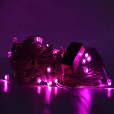 Pink Color LED Diwali light 15Meter