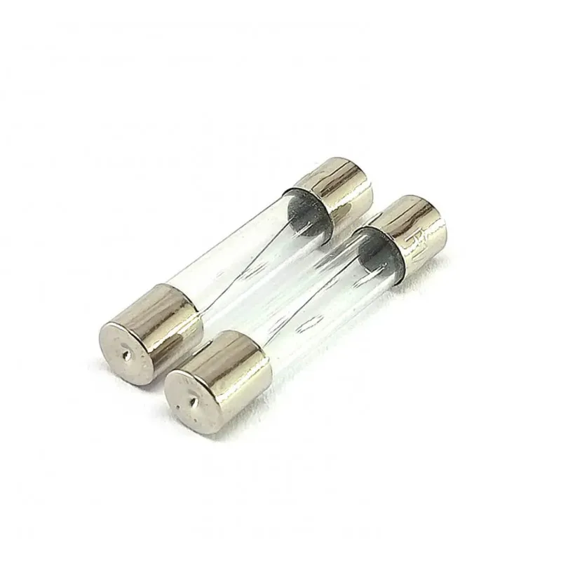 500mA 250V Glass Fuse - 5x20mm - 2 pieces pack